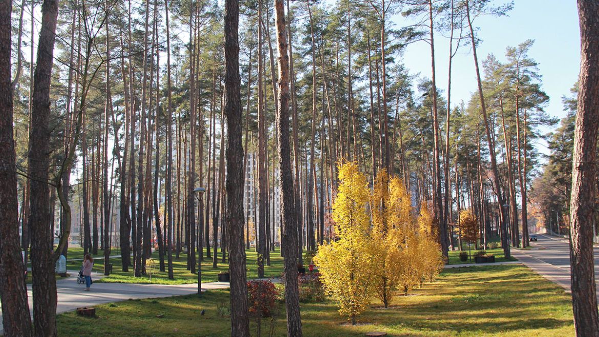 Осенний фоторепортаж с парка "Центральный"